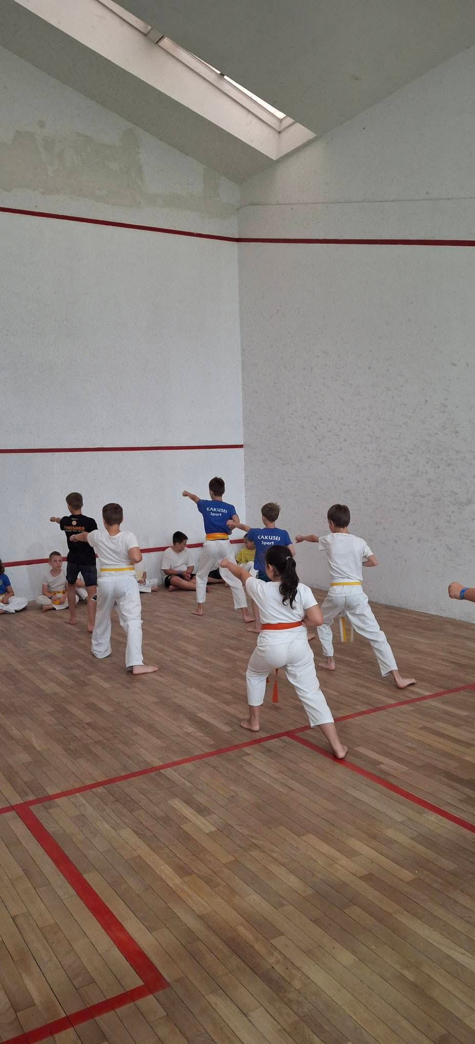 Beszámoló: KAKUSEI SE Napközis Karate Tábor (I. Turnus)