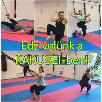 Edz velünk a KAKUSEI-ben.jpg