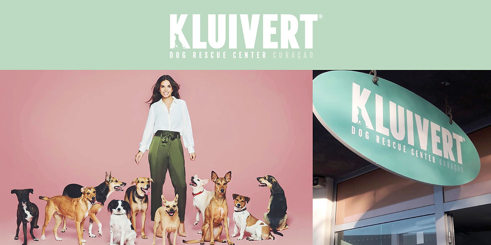 Kluivert Template kleiner.jpg