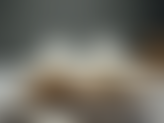 The Impact of Technology on Human Attention