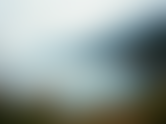 Mastering Job Interviews with BC-Based Companies: The Ultimate Guide