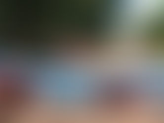 Bem-vindo ao lixão!