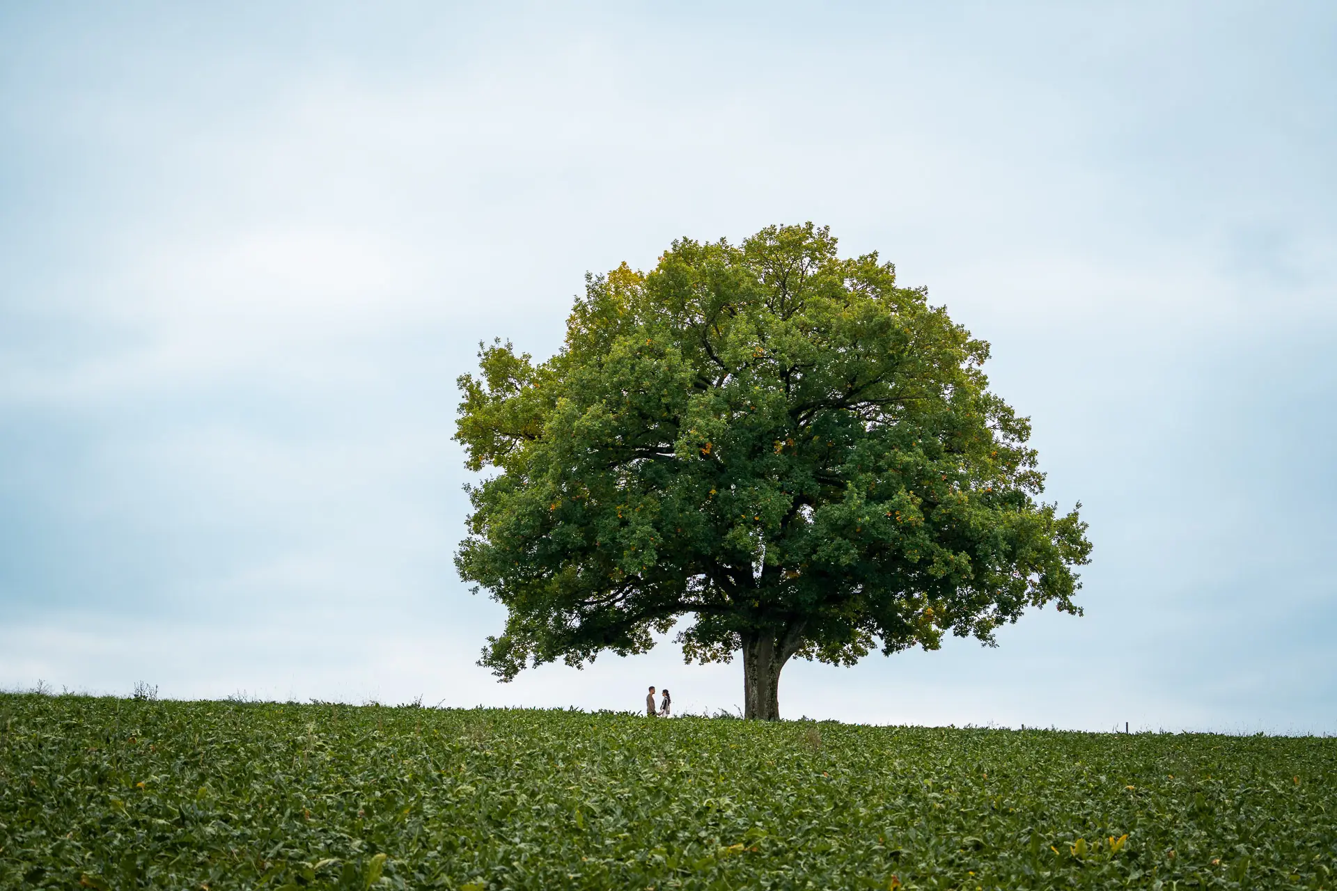 Paarshooting mit Panorama im Hintergrund