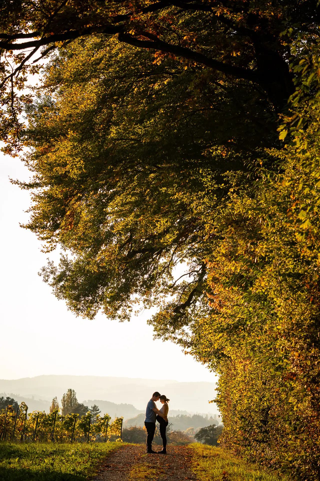 Schwangerschaftsshooting im Herbst in Wiesendangen