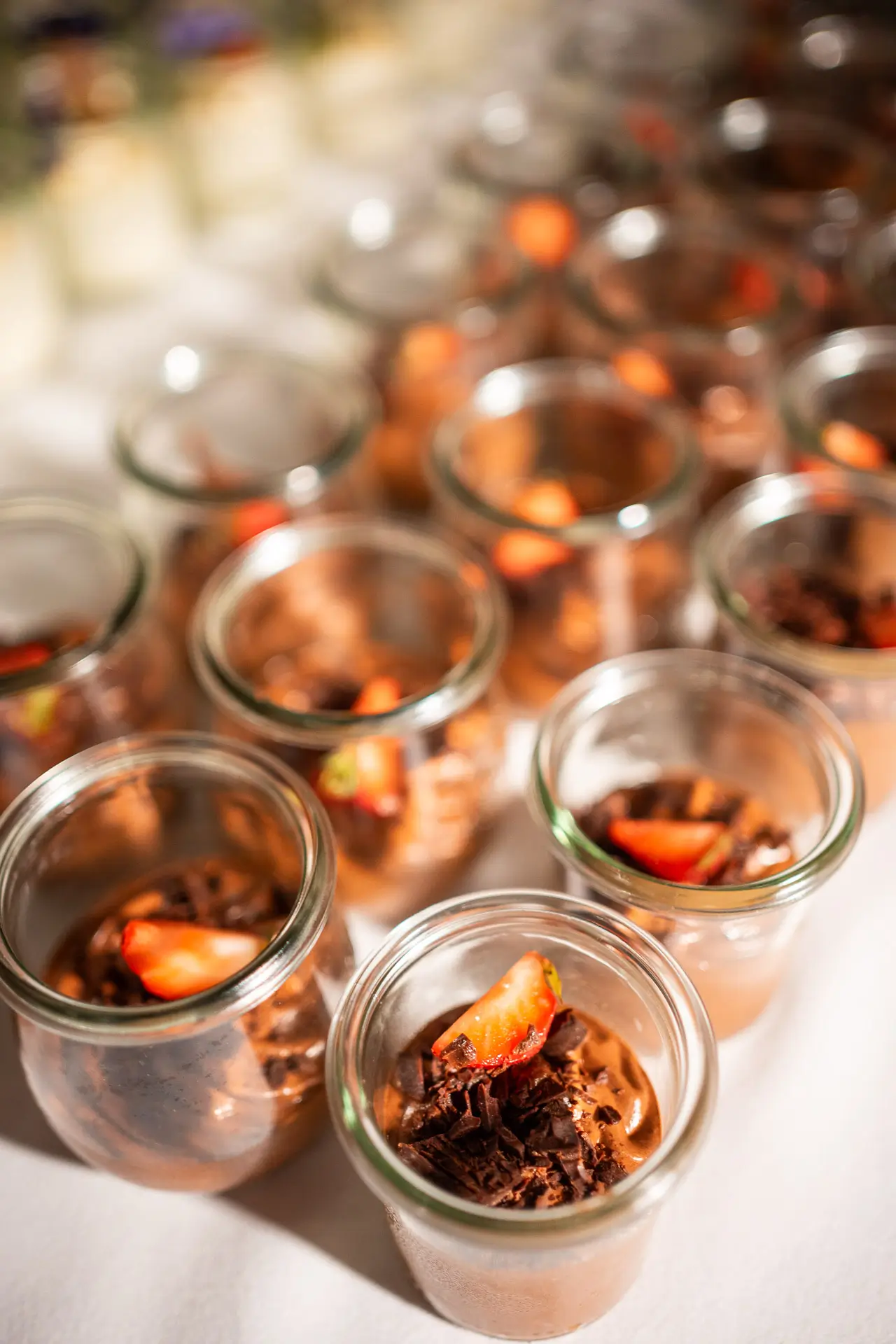 Schloss Fotograf Wildegg