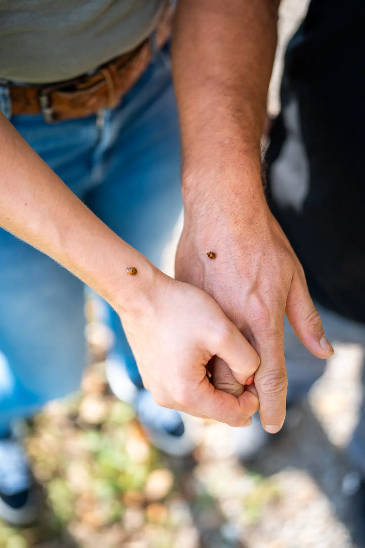 Verliebtes Paar im goldenen Herbstlicht