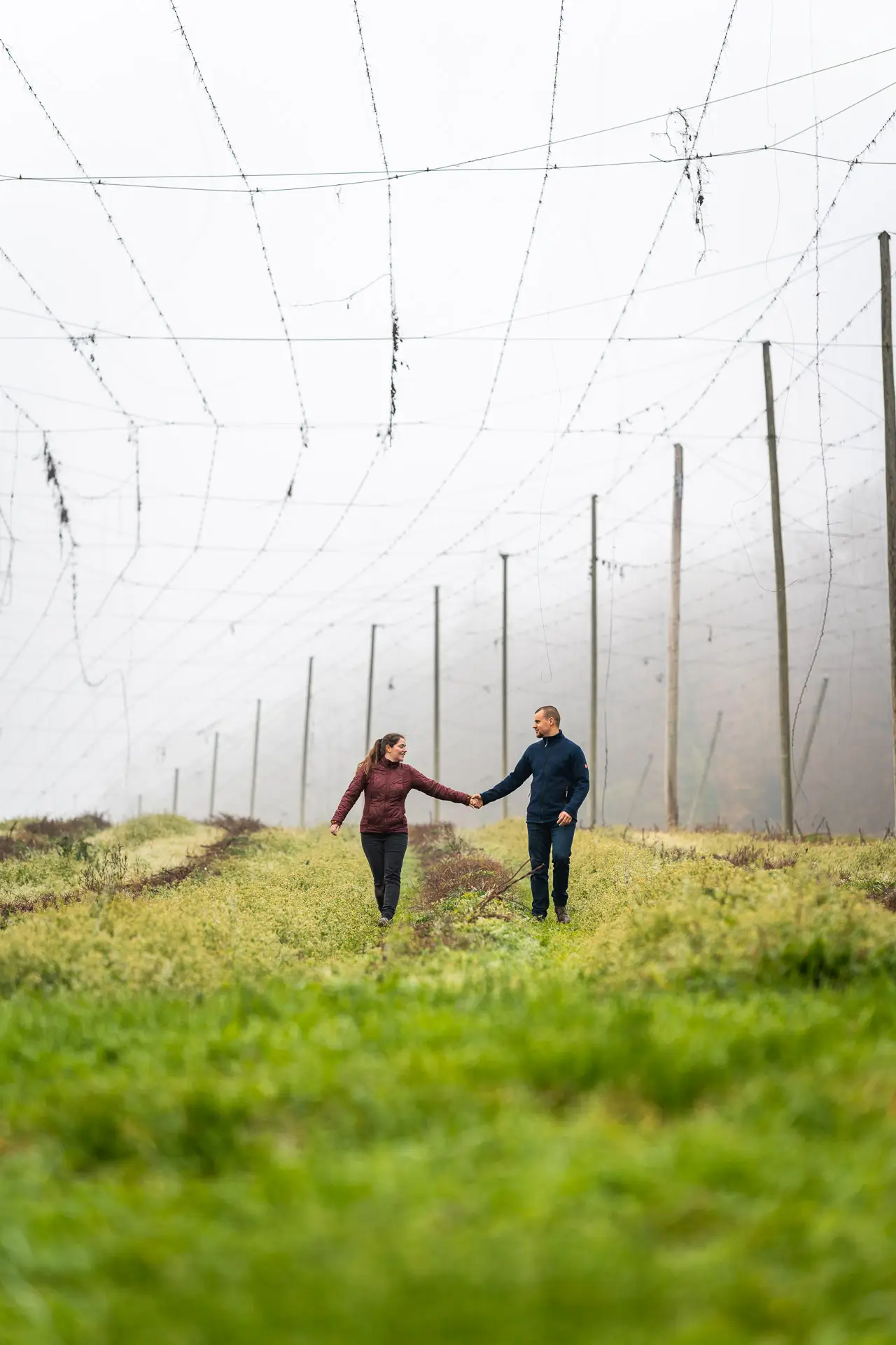 Mystisches Licht bei der Kartause Ittingen