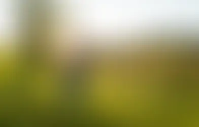 Paarshooting mit Nadine & Dominic im Spätsommer im Zürcher Unterland