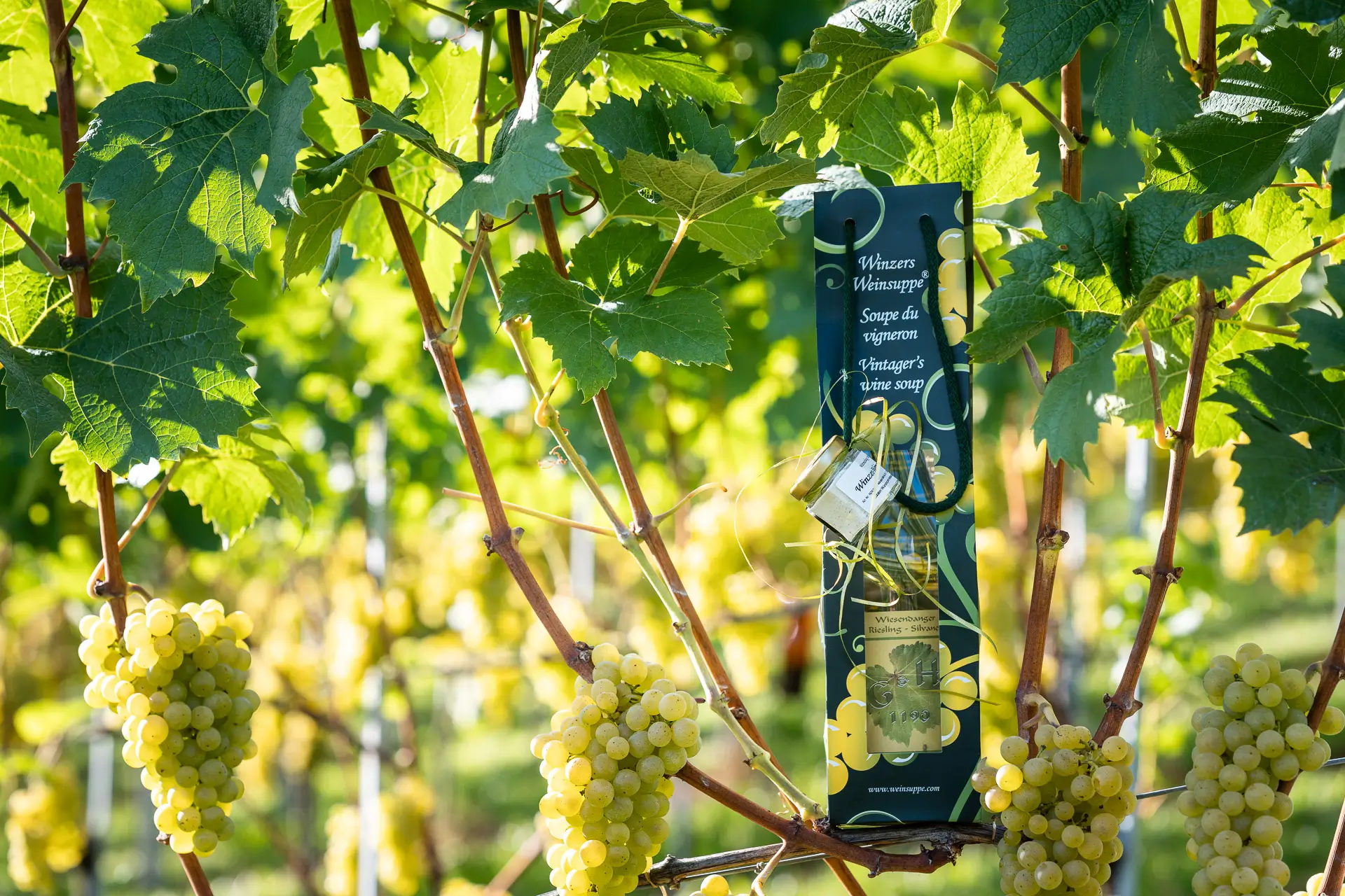 Corporatebilder für Weisswein