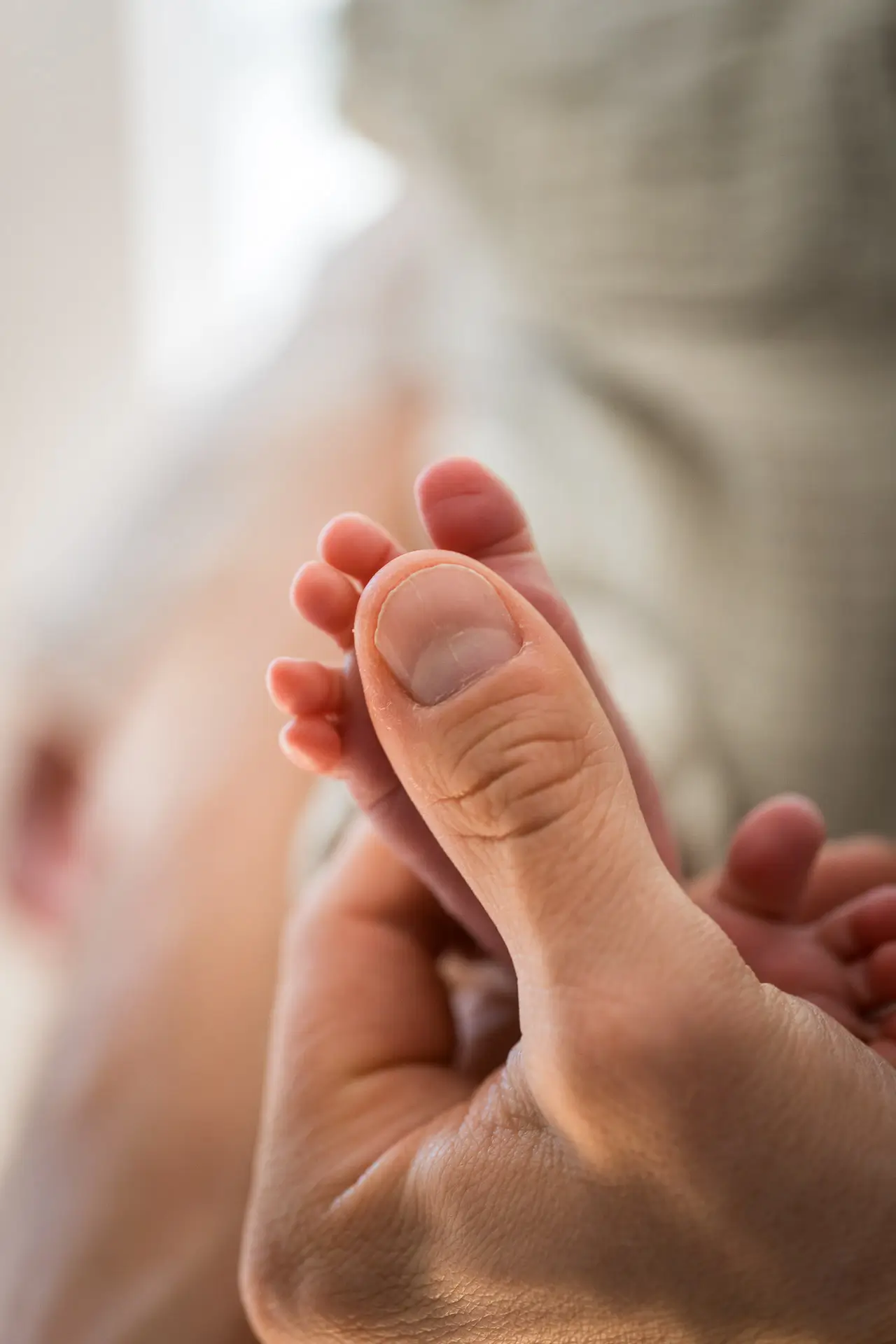 Fotoshooting Baby Frauenfeld