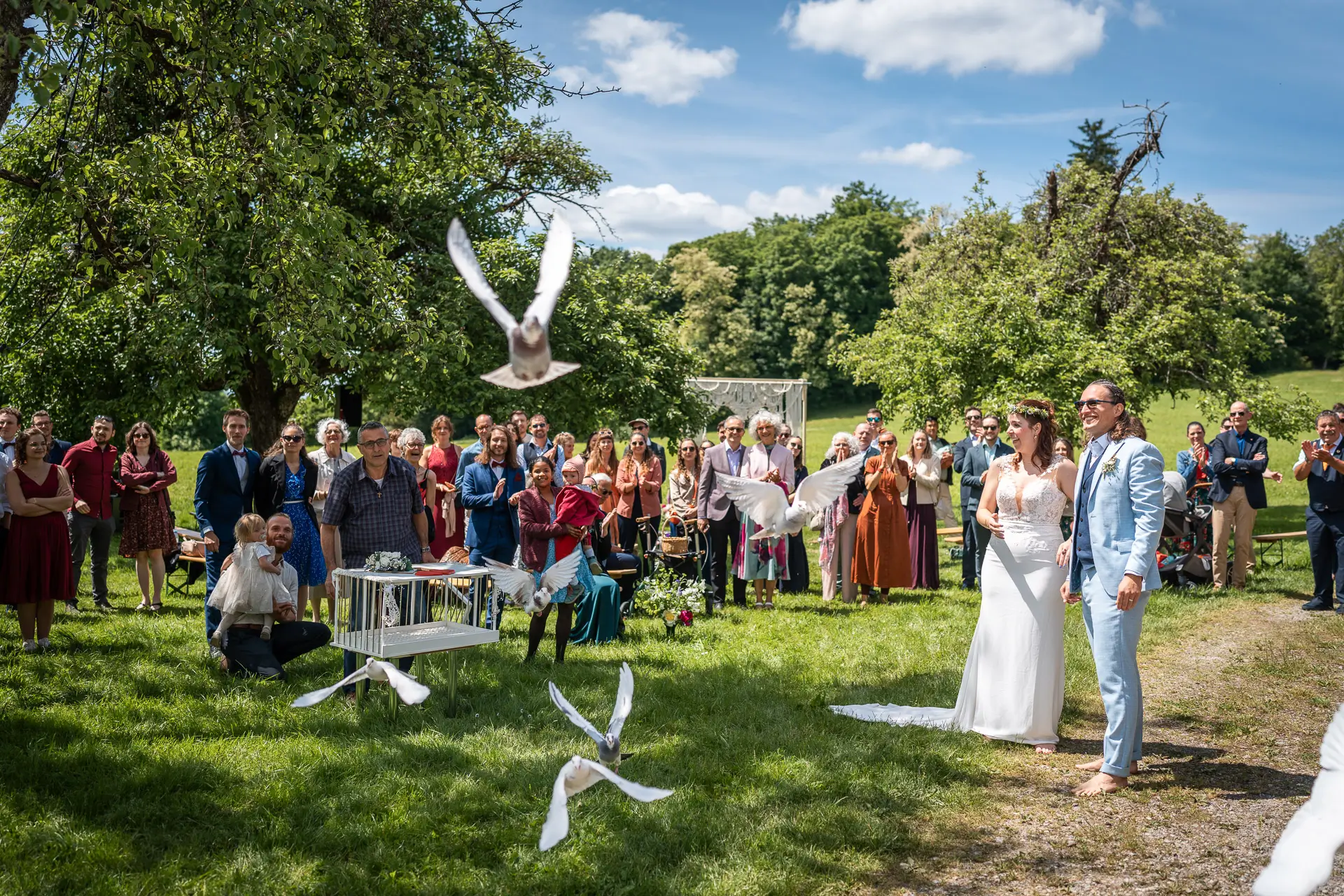 Freigelassene weisse Tauben in Wiesendangen an einer Hochzeit