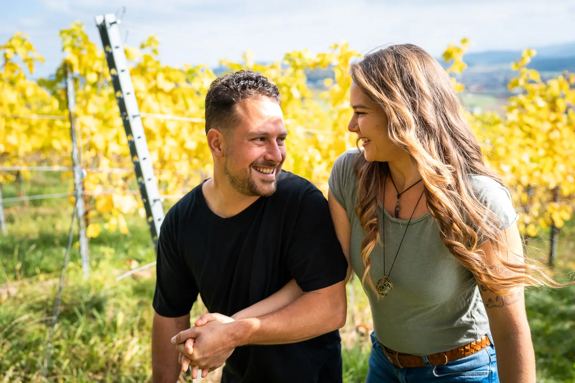 Sonniger Herbstnachmittag im Rebberg