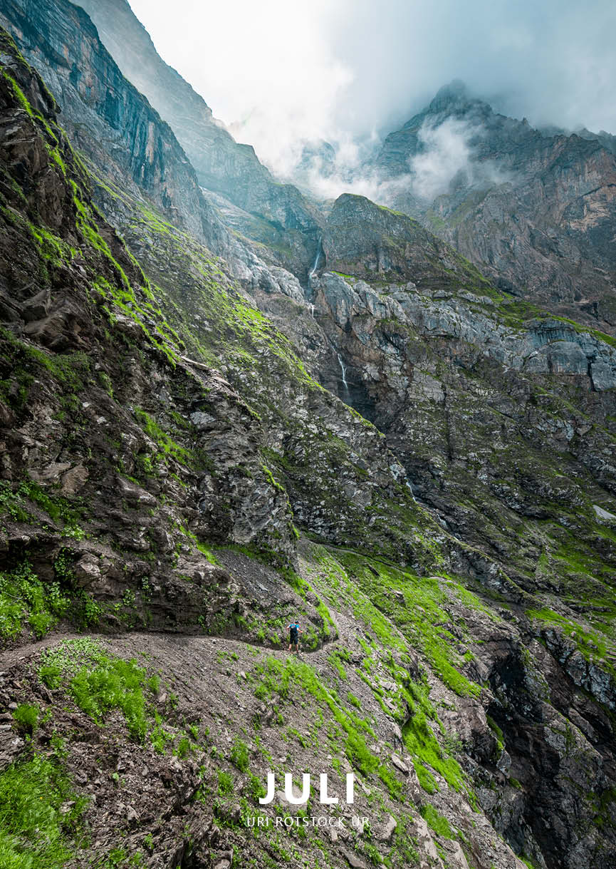 Monatsbilder 2026 Juli