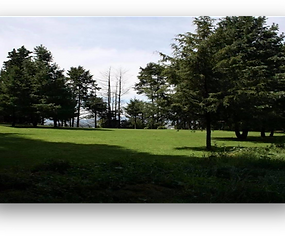 Vendo terreno comercial ubicado en Ocoyoacac.
Superficie de 117,180 m2