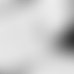 AnaMarciaPericiaGrafotecnica,Documentoscopia,AnalisedeDocumentosFisicoseDigitais,Autenticidade,Integridade,Tempestividade,Forense,Investigacao,FraudedeAssinatura,FraudeINSS,AnalfabetismoFuncional,DisturbiosdeAp