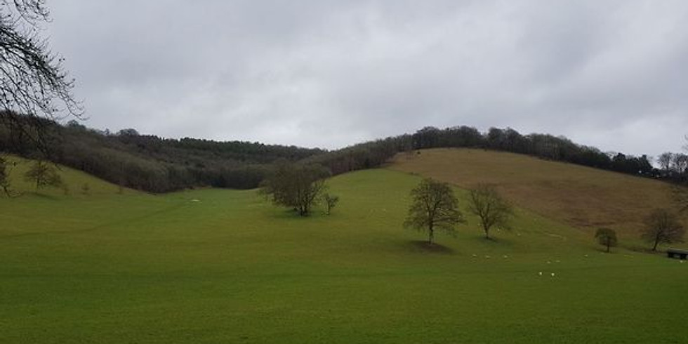 Gomshall and Abinger Roughs