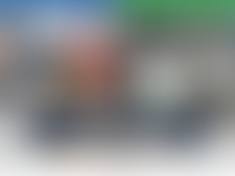 Infographie : Guide expert Sud-Reprog pour acheter des pièces auto neuves (Autodoc, Oscaro) et d'occasion (Ovoko, RRR) sur Internet, avec conseils pour éviter les erreurs et choisir les marques OEM.