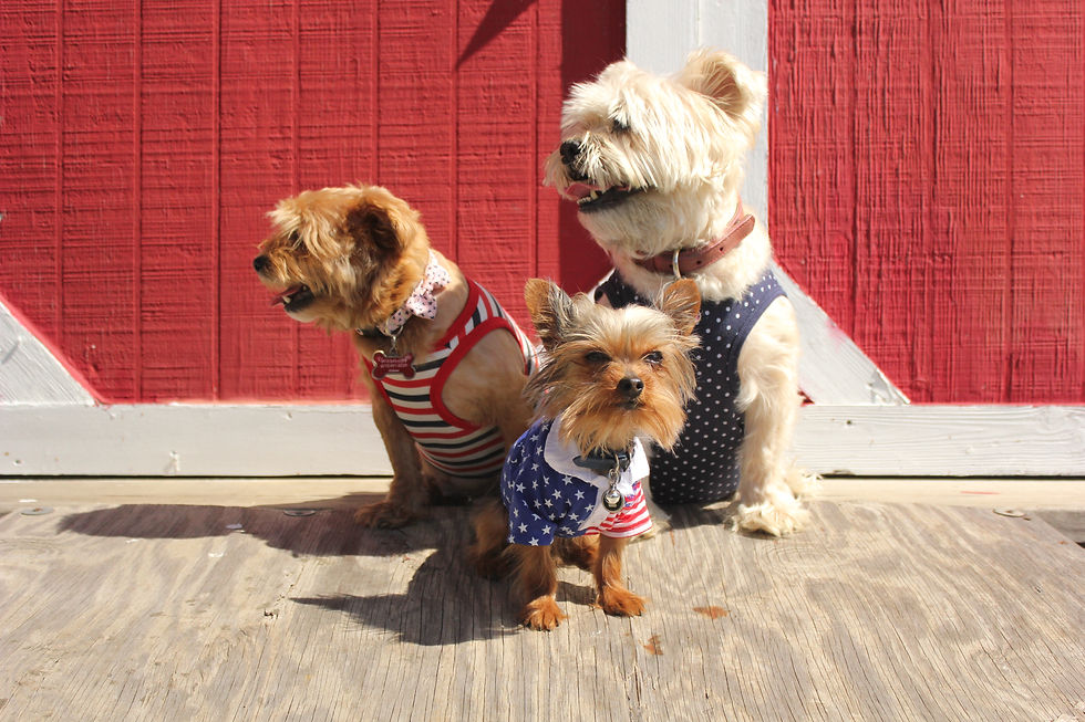 Kiya, Winston, and Bonita