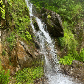 Resorts in Dhanaulti Uttarakhand
