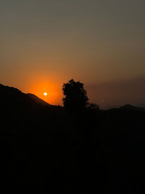 Dhanaulti Resorts with Jungle Safari price