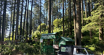 Dhanaulti Eco Park