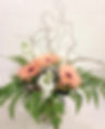 IMG_4043.jpeg