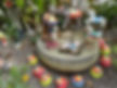 IMG_3749.jpeg