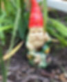 IMG_3830.jpeg