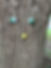 IMG_3684.jpeg