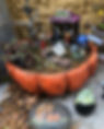 IMG_3835.jpeg