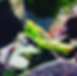 IMG_4112_edited.png