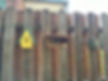 IMG_3720.jpeg
