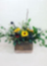 IMG_4035.jpeg