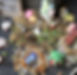 IMG_3975.jpeg