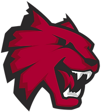 Central_Washington_Wildcats_logo.svg.png