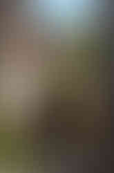 Ruelle bordée de vieilles maisons en pierre dans le village médiéval de Penne dans le Tarn