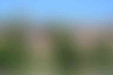 Le quartier de la Madeleine le long du Tarn à Albi