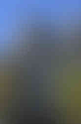 Les mosaïques colorées et scintillantes de la façade extravagante de la Casa Battlo à Barcelone en Espagne