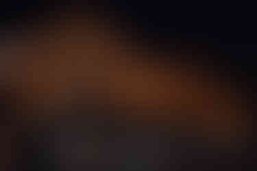 La façade du magasin Harrods décorée pour Noël de nuit à Londres