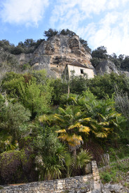 Végétation luxuriante le long de la falaise à La Roque-Gageac en Dordogne