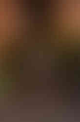 Un homme vu de dos marchant dans une ruelle illuminée d'Olbia en Sardaigne de nuit