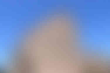 La façade en brique rose de la cathédrale Sainte-Cécile à Albi dans le Tarn