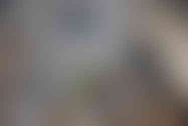 Les mosaïques du plafond de la Salle Hypostyle dans le Parc Güell à Barcelone en Espagne