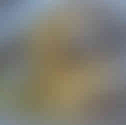 Des spaghetti alle vongole dans une assiette blanche