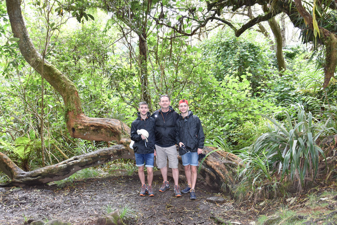 Trois randonneurs devant la Reine des Tamarins dans la forêt tropicale de Bélouve à La Réunion