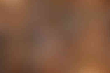 Couronnes et décorations de Noël 