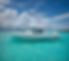 INTREPID 43 NOMAD SE 2025 BOAT FOR SALE