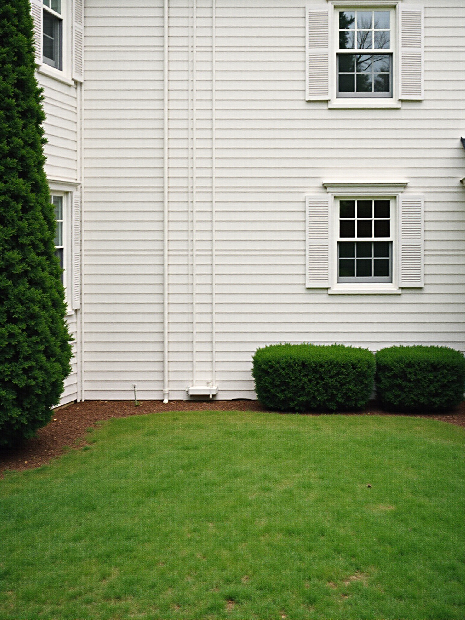 White house with green yard and bushes, windows visible on the side