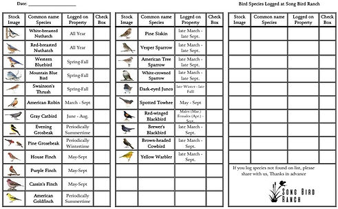 Bird List pg2.jpg
