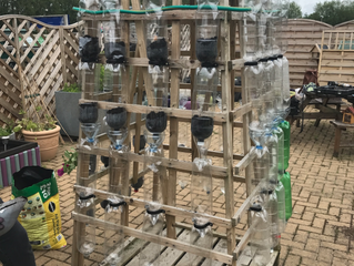 Pop Bottle Hive